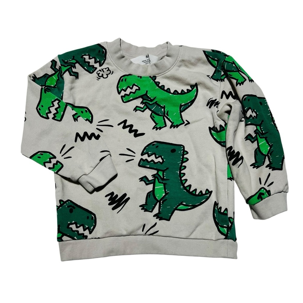 H&M Gray and Green Dinosaur Kids Sweatshirt